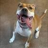 katiebug060913